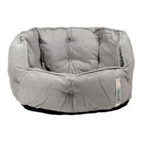 Cama para Perros Gloria Verde DREAMS (64 x 60 cm)