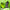 Pods Desechables Fizzy Nova 20.000 Puffs Vape – Lemon Lime